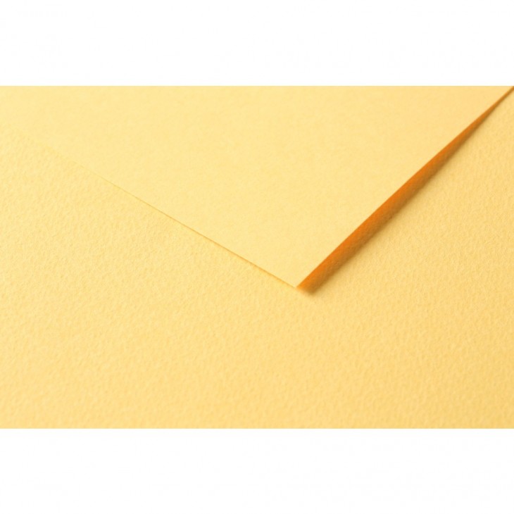 R Папір д/пастелі 160гр др.зерно 100%цел. Tulipe Clairefontaine 50х65см упак.25арк.ЛЮТИК