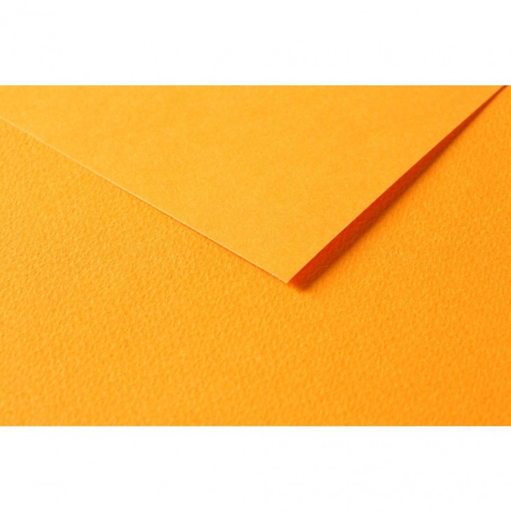 R Папір д/пастелі 160гр др.зерно 100%цел. Tulipe Clairefontaine 50х65см упак.25арк.ОРАНЖЕВИЙ