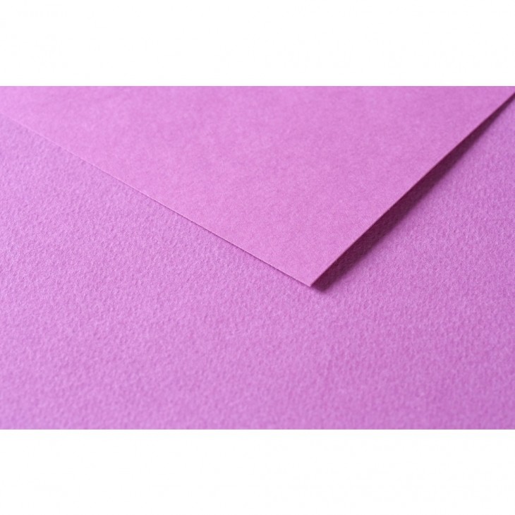 R Папір д/пастелі 160гр др.зерно 100%цел. Tulipe Clairefontaine 50х65см упак.25арк.ЛІЛОВИЙ