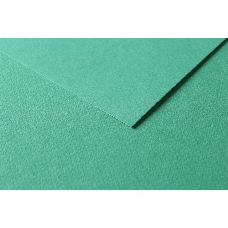 R Папір д/пастелі 160гр др.зерно 100%цел. Tulipe Clairefontaine 50х65см упак.25арк.ЗЕЛЕНИЙ ТЕМНИЙ
