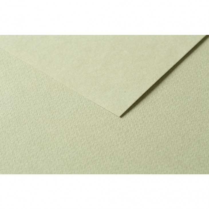 R Папір д/пастелі 160гр др.зерно 100%цел. Tulipe Clairefontaine 50х65см упак.25арк.МИГДАЛЬ