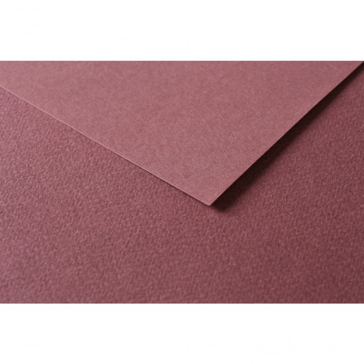 R Папір д/пастелі 160гр др.зерно 100%цел. Tulipe Clairefontaine 50х65см упак.25арк.КОРИЧНЕВИЙ ТЕМНИЙ