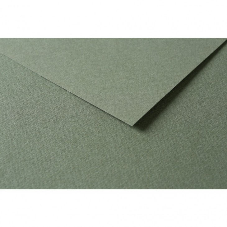 R Папір д/пастелі 160гр др.зерно 100%цел. Tulipe Clairefontaine 50х65см упак.25арк.ЗЕЛЕНИЙ ОКЕАН