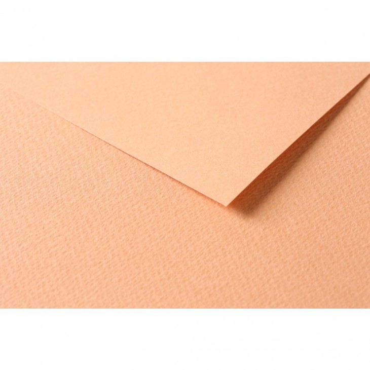 R Папір д/пастелі 160гр др.зерно 100%цел. Tulipe Clairefontaine 50х65см упак.25арк.ЛОСОСЕВИЙ