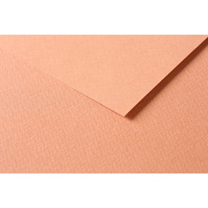 R Папір д/пастелі 160гр др.зерно 100%цел. Tulipe Clairefontaine 50х65см упак.25арк.ІРЖА