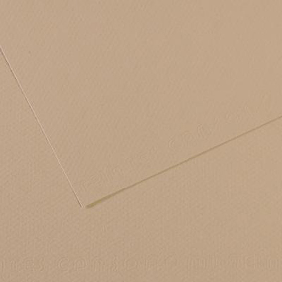 RR Папір д/пастелі 160г "MI-TEINTES®" Canson А4 СІРО-БЕЖЕВИЙ(343)