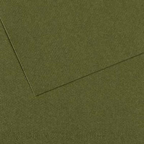 RR Папір д/пастелі 160г "MI-TEINTES®" Canson А4 ЗЕЛЕНИЙ ПЛЮЩ(448)