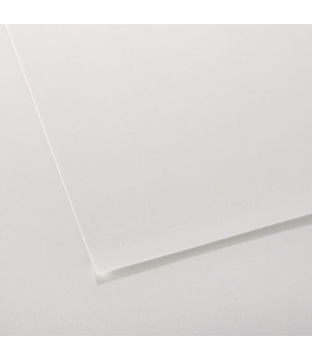 RR Папір для графіки "DESSIN JA"Canson 160г 50х65см