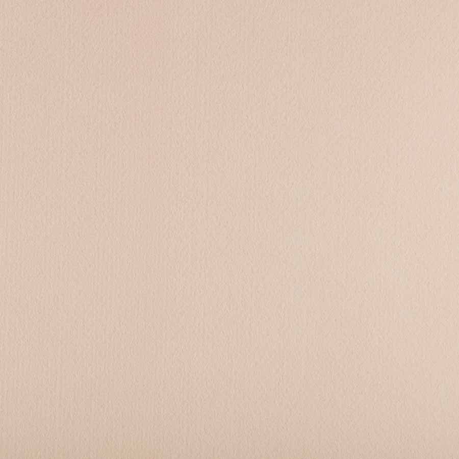 Фетр виробний (полиэстер) PREMIUM FKR10 GAMMA.33x53см h 1мм 808 БЕЖЕВИЙ СВІТЛИЙ