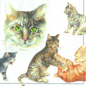 ЗНЯТІ З ВИР-ВА,7.3 Серветка33х33см (20шт) "Коты и котята"