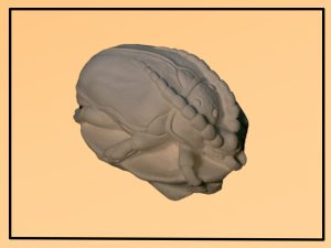 ЖУК НА ВОЛОСЬКОМУ ГОРІСІ фігурка для декору (гіпс) 4,5х3,5х2,5см