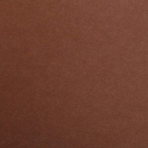 RR Картон кольоровий 270гр Maya Clairefontaine 70х100см КОРИЧНЕВИЙ