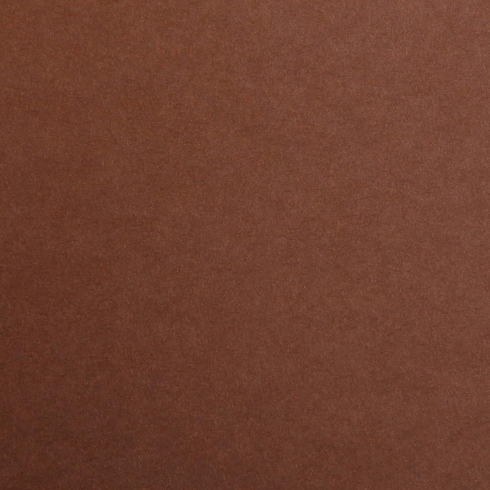 *RR Картон кольоровий 270гр Maya Clairefontaine 70х100см КОРИЧНЕВИЙ