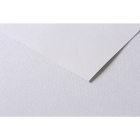 RR Папір д/пастелі 160гр др.зерно 100%цел. Tulipe Clairefontaine| 20х30см СІРИЙ СВІТЛИЙ