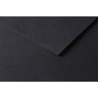 RR Папір д/пастелі 160гр др.зерно 100%цел. Tulipe Clairefontaine| 20х30см ЧОРНИЙ