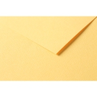 RR Папір д/пастелі 160гр др.зерно 100%цел. Tulipe Clairefontaine| 20х30см ЛЮТИК