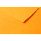 RR Папір д/пастелі 160гр др.зерно 100%цел. Tulipe Clairefontaine| 20х30см ОРАНЖЕВИЙ
