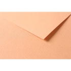 RR Папір д/пастелі 160гр др.зерно 100%цел. Tulipe Clairefontaine| 20х30см ЛОСОСЕВИЙ
