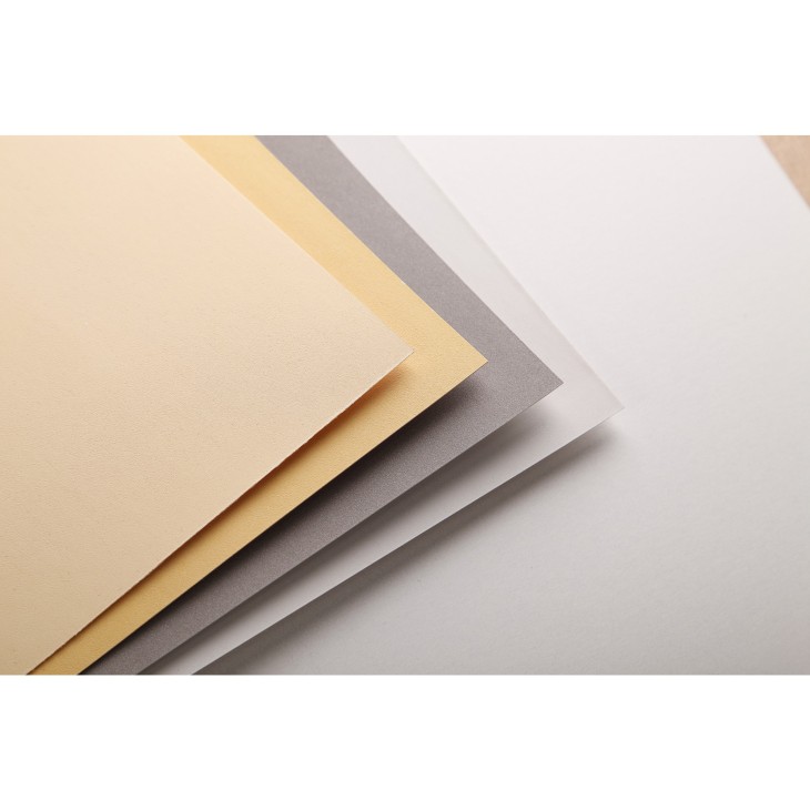Альбом-склейка д/пастелі 360гр др.зерно обкл.м'яка Pastelmat Clairefontaine 12арк.30х40см А3