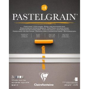 Альбом-склейка д/пастелі 360гр сер.зерно обкл.м'яка PastelGrainClairefontaine 12арк.24х30см СІРІ ВІД