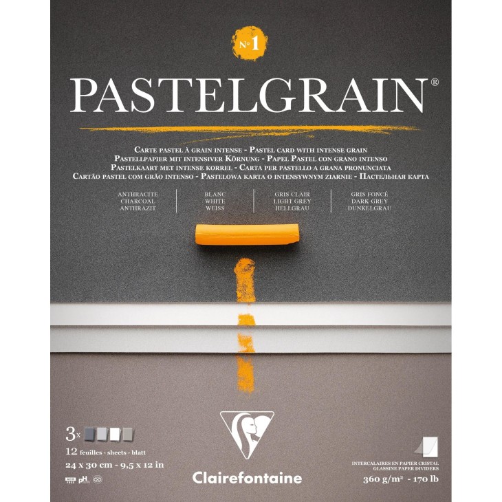 Альбом-склейка д/пастелі 360гр сер.зерно обкл.м'яка PastelGrainClairefontaine 12арк.24х30см СІРІ ВІД