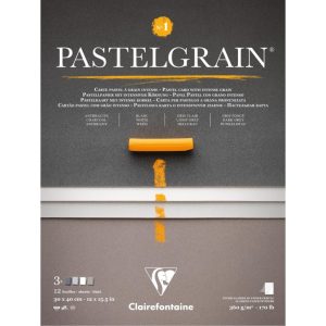 Альбом-склейка д/пастелі 360гр сер.зерно обкл.м'яка PastelGrainClairefontaine 12арк.30х40см А3 СІРІ