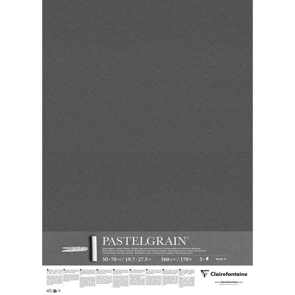 RR Папір д/пастелі 360гр сер.зерно PastelGrain Clairefontaine 50х70см ВУГІЛЬНИЙ